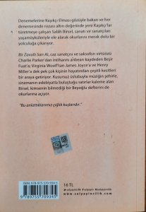 Bir Zavallı Sarı At