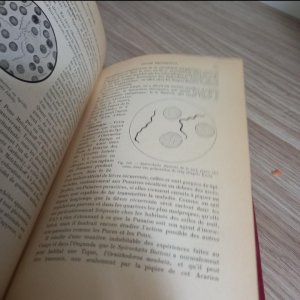 Précis de parasitologie GUIART (J.) 1910