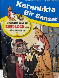 Karanlıkta Bir Sansar