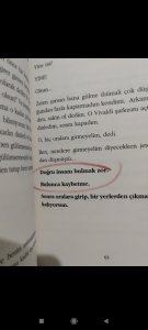 Zeus Kabadayı-Sevseydi Gitmezdi. Fotoğraflardaki gibidir. Yeni ve kusursuzdur sadece fotoğraflarda gördüğünüz gibi çizili yerler olduğu için bu fiyat.