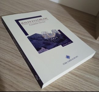 Halep Eyyubileri El-Melikü'n-Nasır II. Salahaddin Yusuf Devrinde Eyyubiler Devleti