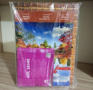 Somuncu Baba Dergisi - Sayı 252