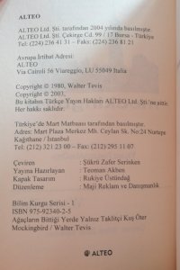 Mockingbird Ağaçların Bittiği Yerde Yalnız Taklitçi Kuş Öter