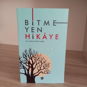 Bitmeyen Hikaye