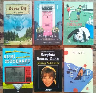 Beyaz Diş/Londra'dan Sevgilerle/ Tavşanla Yolculuk/Ruhi Mücerret/ Sevginin Sonsuz Dansı/ Seyir