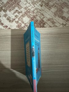 Deli Çocuğun Güncesi