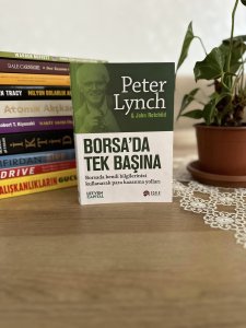 Borsada Tek Başına / Peter Lynch