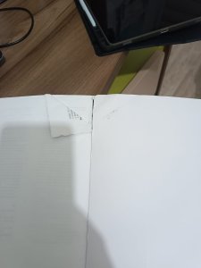 Netter 7. baskı anatomi atlası