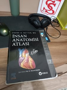 Netter 7. baskı anatomi atlası