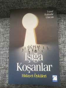 Delilik Ülkesinden Notlar